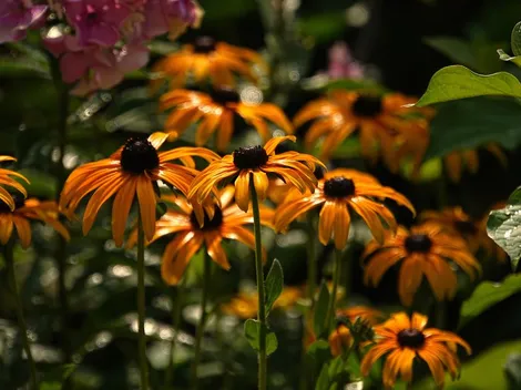 Wohnen im Grünen - 10