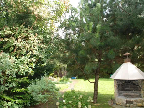 Villa Renoma