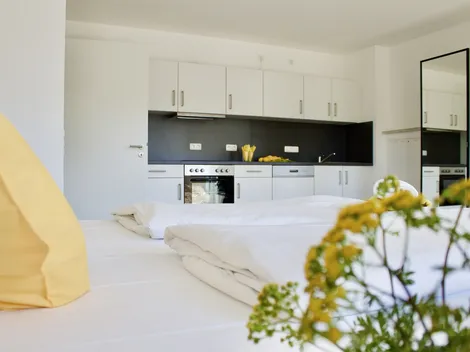 3 Zimmerapartment für b is zu 6 Personen, vollmöbliert, brandneu