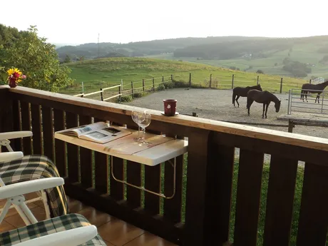 94166 Stubenberg - Ferienwohnung Niederbayern Alm
