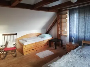 Holledauer Nest