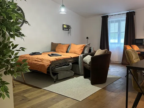 grosszügige Monteurswohnung in StaldenVS Nahe Lonza - 6