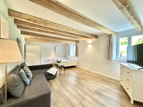 Business Apartment
