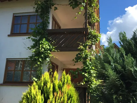 Bürstenbinder Apartments - 3