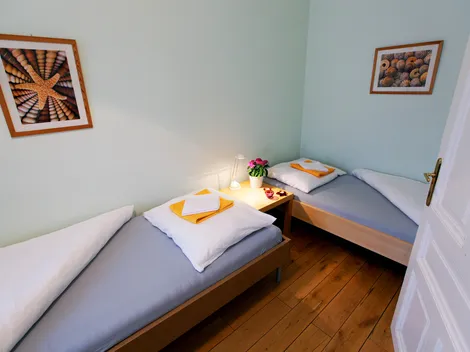 Central of Vienna 10Eur/bed + Highspeed Internet + parking