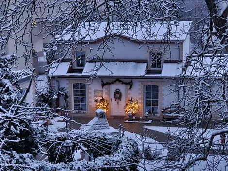 Casa Chabeli Berlin, Pension / Gästehaus, Ferienwohnung - Berlin Steglitz-Zehlendorf - 5