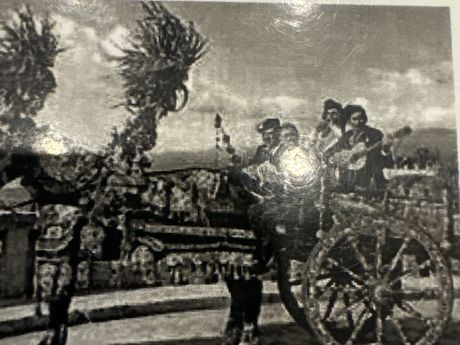 2320 Schwechat - NKC_01