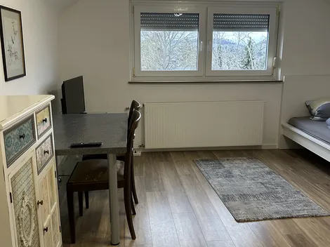 Heilbronn -2 EZ DG Wohnung - 5