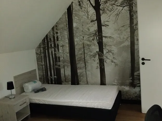 Zimmer im Zwickau