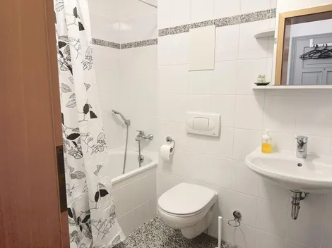 Homerent in Zwickau und Glauchau - 7