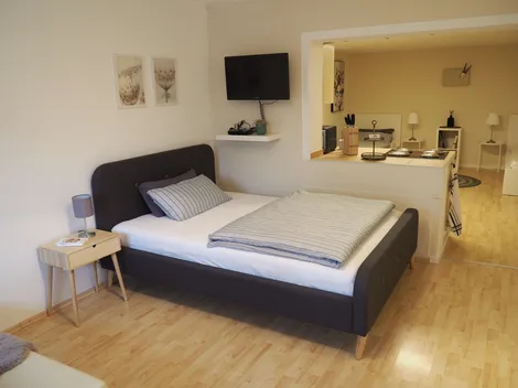 Apartment Ela