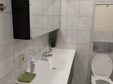 FLEX Aparts - Monteur- und Ferienwohnungen in Zwickau - 3