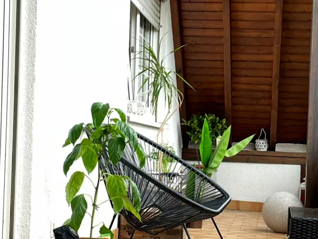 Waldblick-Fantastische Monteurwohnung