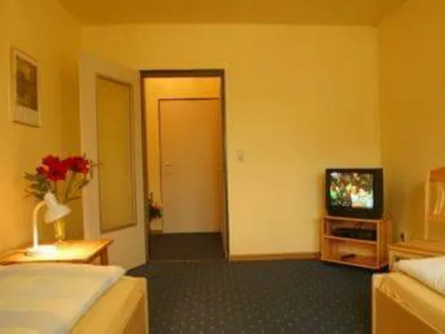 Hotel-Gasthaus Bajazzo