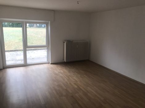 schöne,helle Souterrrain-Wohnung mit Terrasse