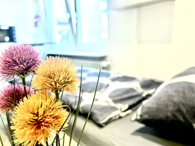 Comfybeds -Preiswerte Unterkunft Hamburg und Umland