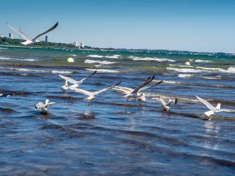 K357 - Staffboarding - Personal- und Monteurzimmer - 4