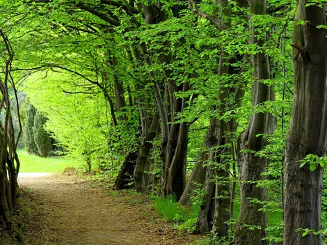 Apartamenty - Werne bei Selm und Hamm - 16