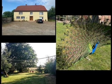 Pokoje gościnne pod Jabłoniami