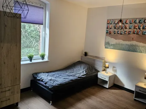 Das beste im Zwickau - 9