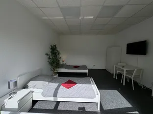 Haus nähe Frankfurt und Darmstadt - Bis zu 12 Personen