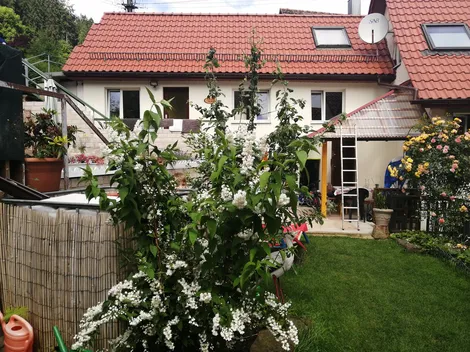 Ferienwohnung "TAL-ECK"