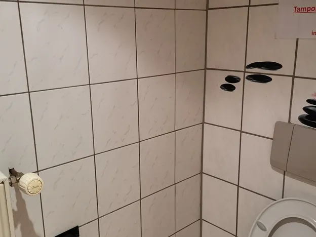 Montour Zimmer Erhardt