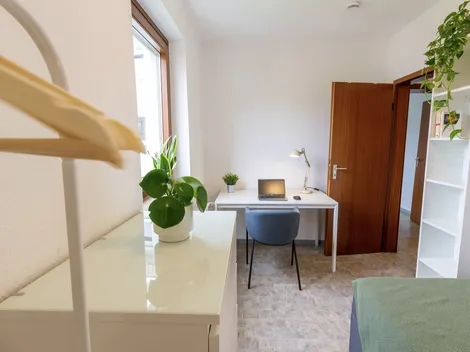 Cozy Room Available from March (women only!)