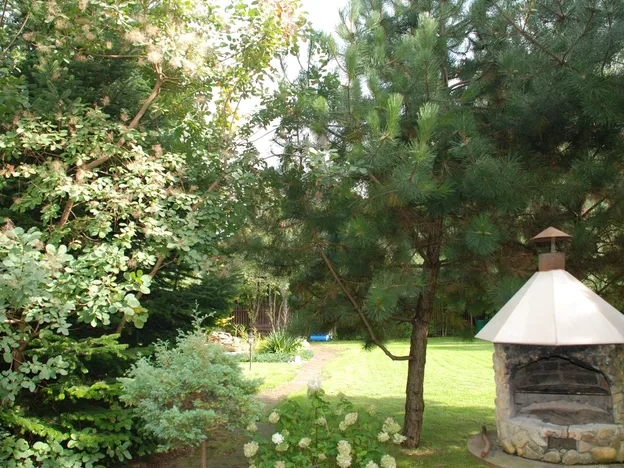 Villa Renoma 