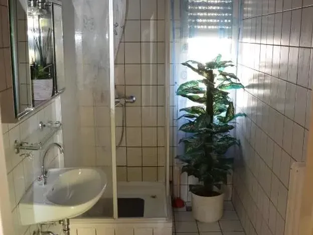 Zur Wurzel