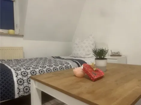 Visbro personal solutions kwatery pracownicze Leipzig +50 km - 10