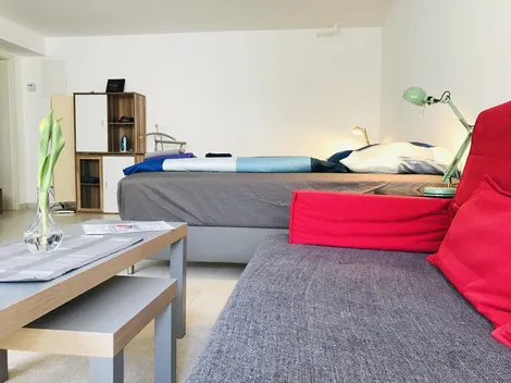 Vrljić home for you Mainz