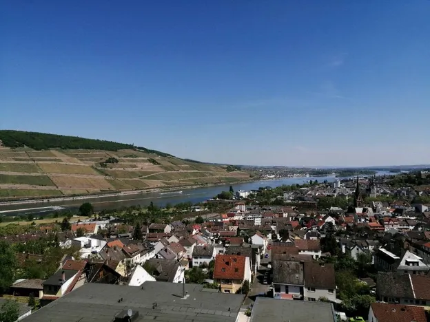 Schönes Apartment in Bingen am Rhein