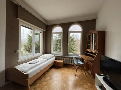 ZeitWohnen Remagen Monteurzimmer/ Ferienwohnung - 3