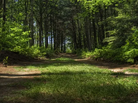 Apartamenty - Werne bei Selm und Hamm - 8