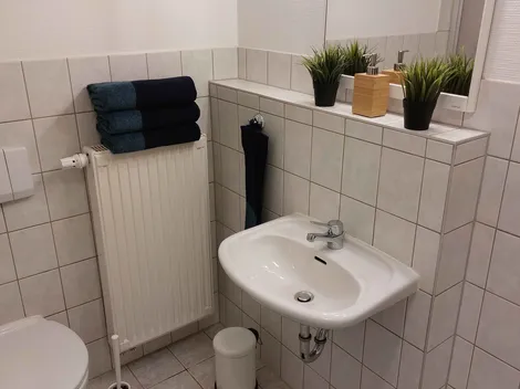 Großzügiges Boardinghouse mit riesigem Park in Mittweida - 5