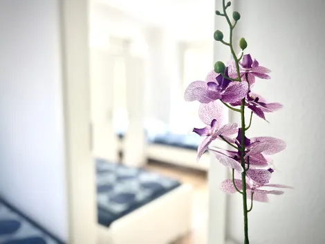 Comfybeds -Preiswerte Unterkunft Hamburg und Umland - 8